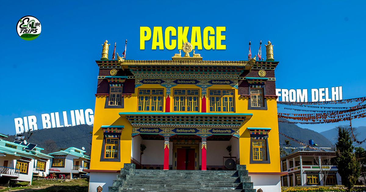 bir billing paragliding packages